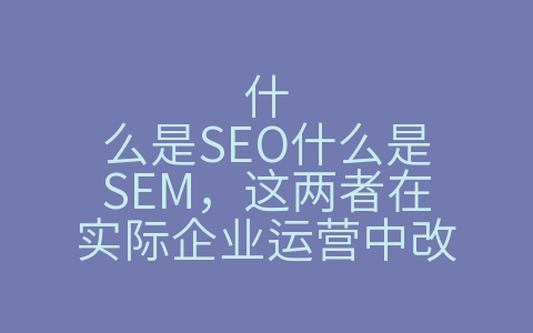 什么是SEO什么是SEM，这两者在实际企业运营中改（什么是seo和sem）